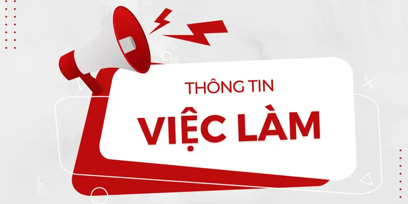 Tuyển dụng KO66 - Cơ hội việc làm với nhiều vị trí hấp dẫn